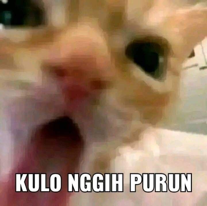 chqgiya's tweet photo. @tanyakanrl NU: https://t.co/ci5T1UmlGK