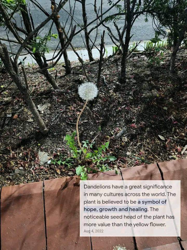 AngelManlangit7's tweet photo. Moonbin🥺💔 
#RIPMoonbin ✵🕊
𝘐 𝘸𝘪𝘭𝘭 𝘮𝘪𝘴𝘴 𝘺𝘰𝘶 𝘮𝘺 Moon🕊 https://t.co/9SUD5g377X