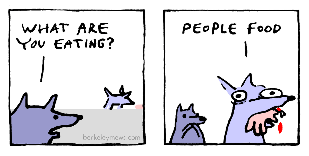 dog treat 🐶 