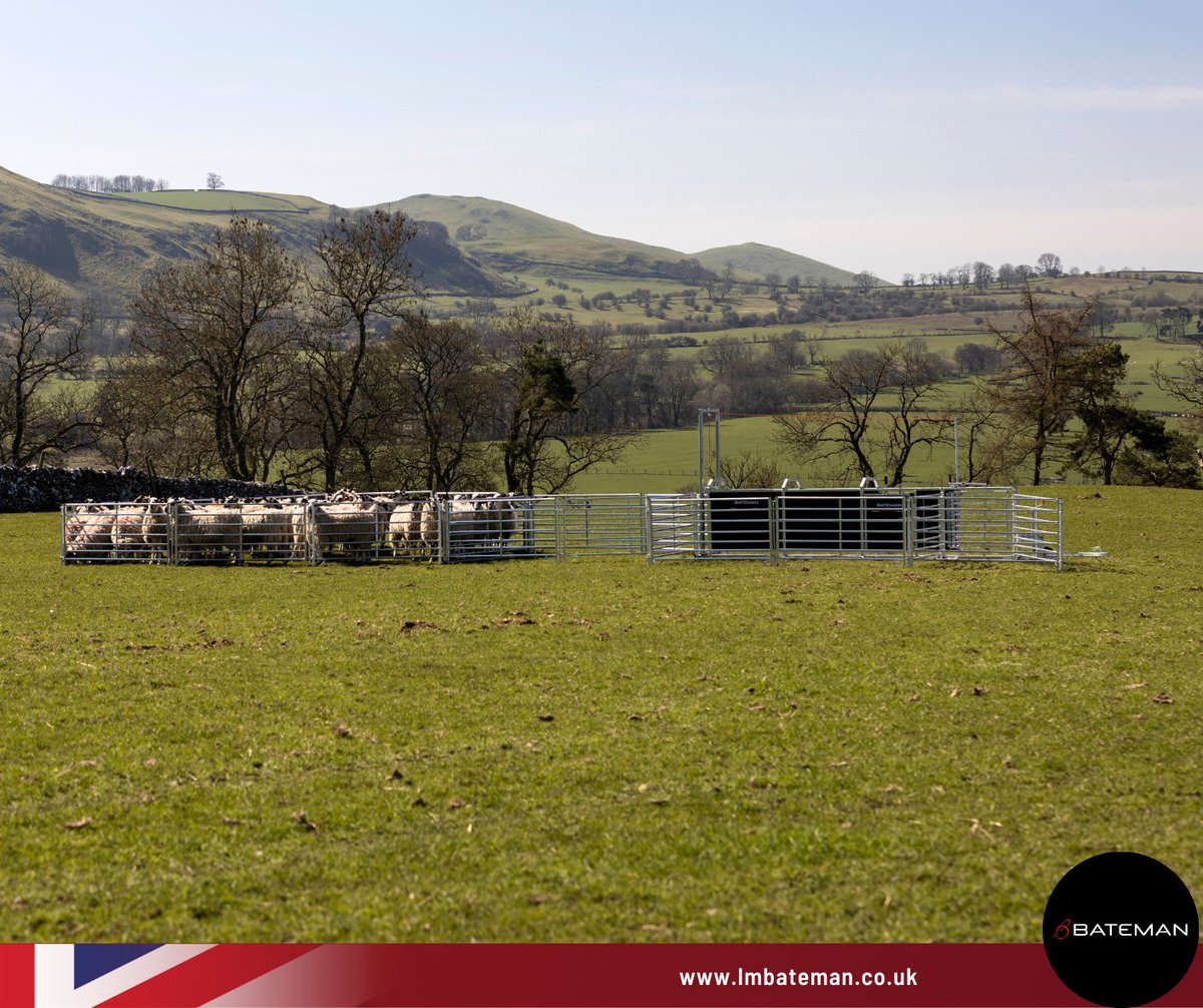LMBateman79's tweet photo. ๐ #LMBateman Sheep Trailer ๐
Mobile sheep system featuring polypropylene-clad race with four-way drafting. Drafting via a two-way shedding gate on the front of the race and two spring-loaded drafting gates in the race. https://t.co/FDusIInYFd