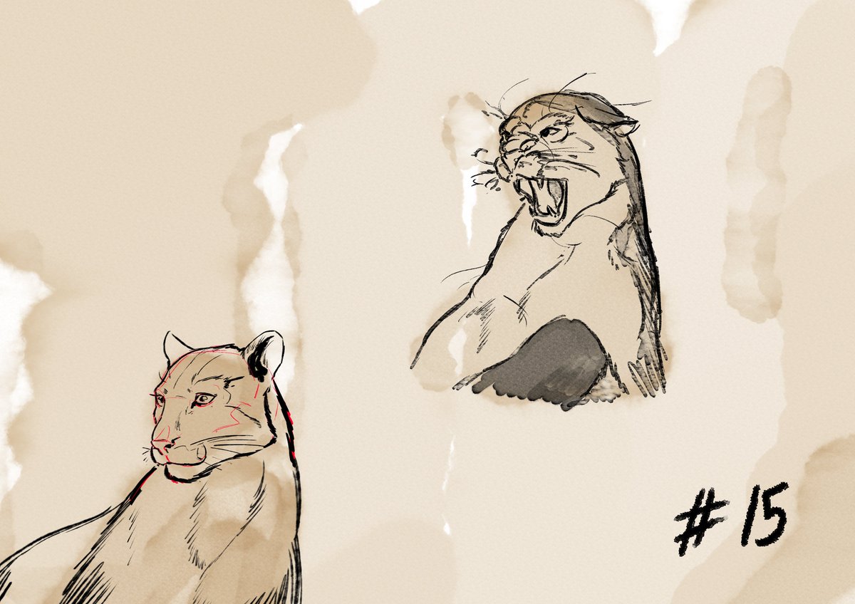 haris_71jan's tweet photo. 15 #animarch #amimal https://t.co/89n5gJAYuT