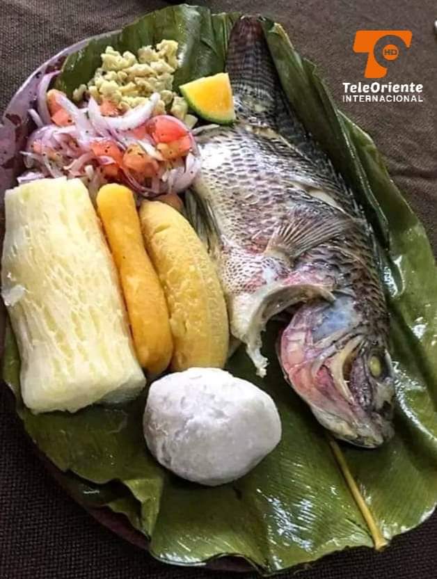 TeleOrienteIntl's tweet photo. GASTRONOMÍA DE LA SELVA PERUANA.
¿ Alguna vez probaste esto ?
#Coméntanos https://t.co/LwrZYUtkmX
