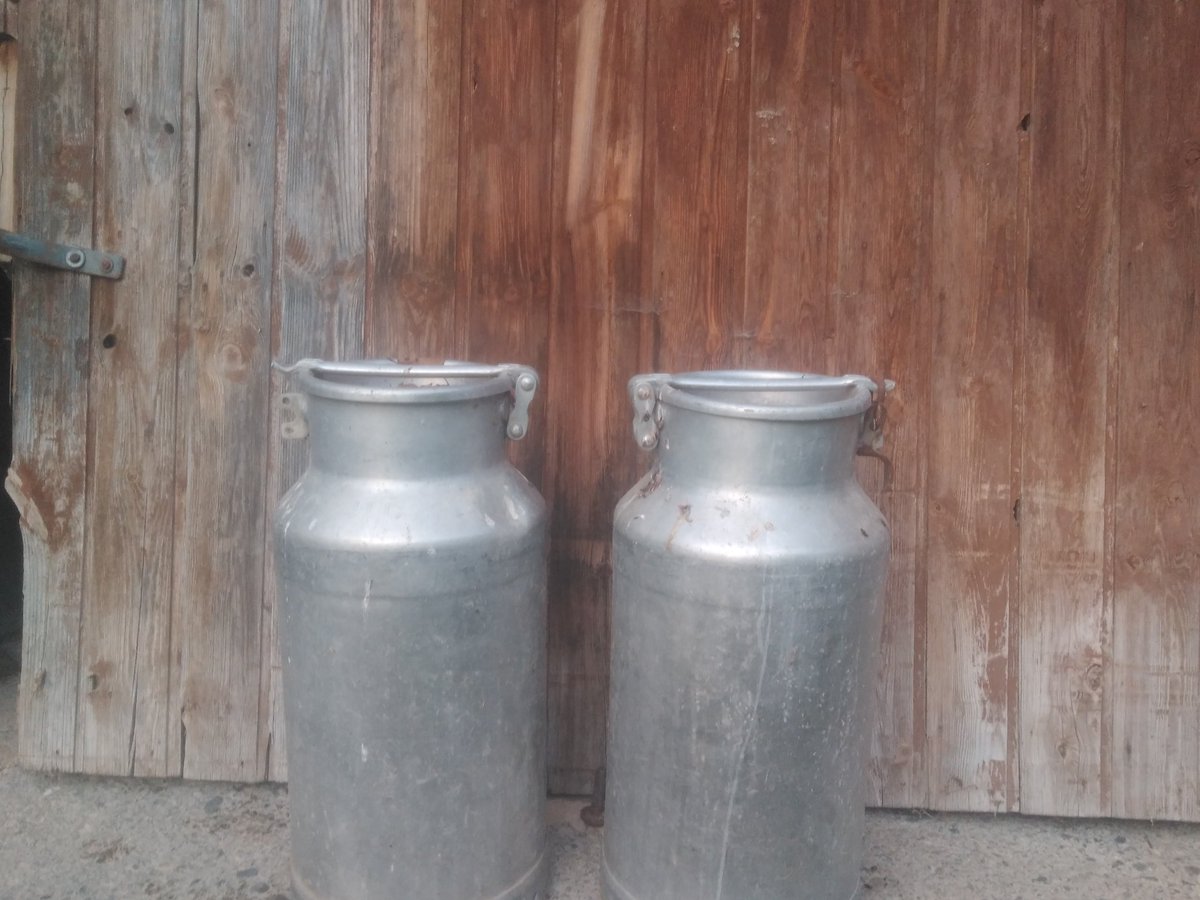 xaiecologic's tweet photo. Quan era un sagalet vaig veure caure el meu ídol, era la gran crisi de la petita explotació de vaca de llet.
Quan tancava la porta del camió que portava les seves vaques cap a l'escorxador, aquell home orgullós, noble, fort i indestructible va esclatar amb un plor de desesperació https://t.co/ThSc83hqjy
