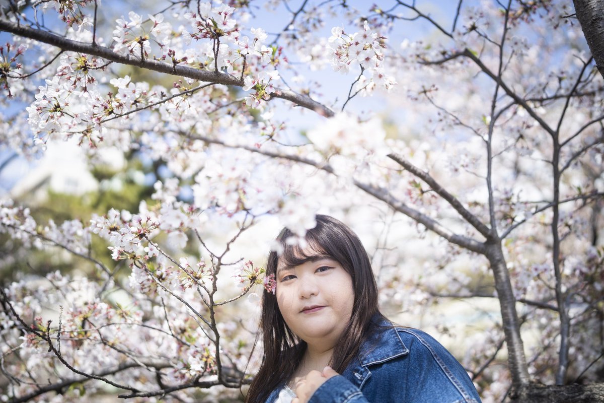 pochapocha0803's tweet photo. 桜の季節ももう終��り。
また来年。

 #ポートレート 
 #ポートレートモデル 
 #相互無償ポートレート 
#桜ポートレート https://t.co/GYaggKmtMo