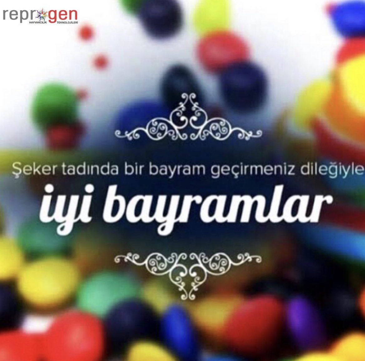 İyi Bayramlar…
#şekerbayramı #iyibayramlar