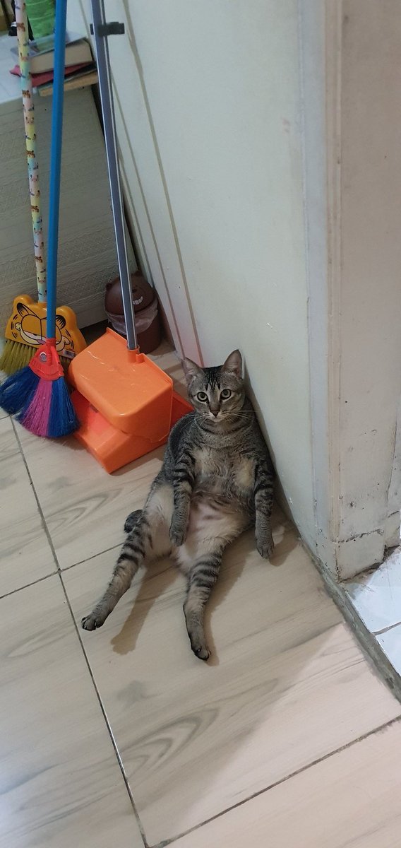mithasbu's tweet photo. @kochengfs Ga mudik kita... beberes rumah ajaa https://t.co/AKcYlXt5KZ
