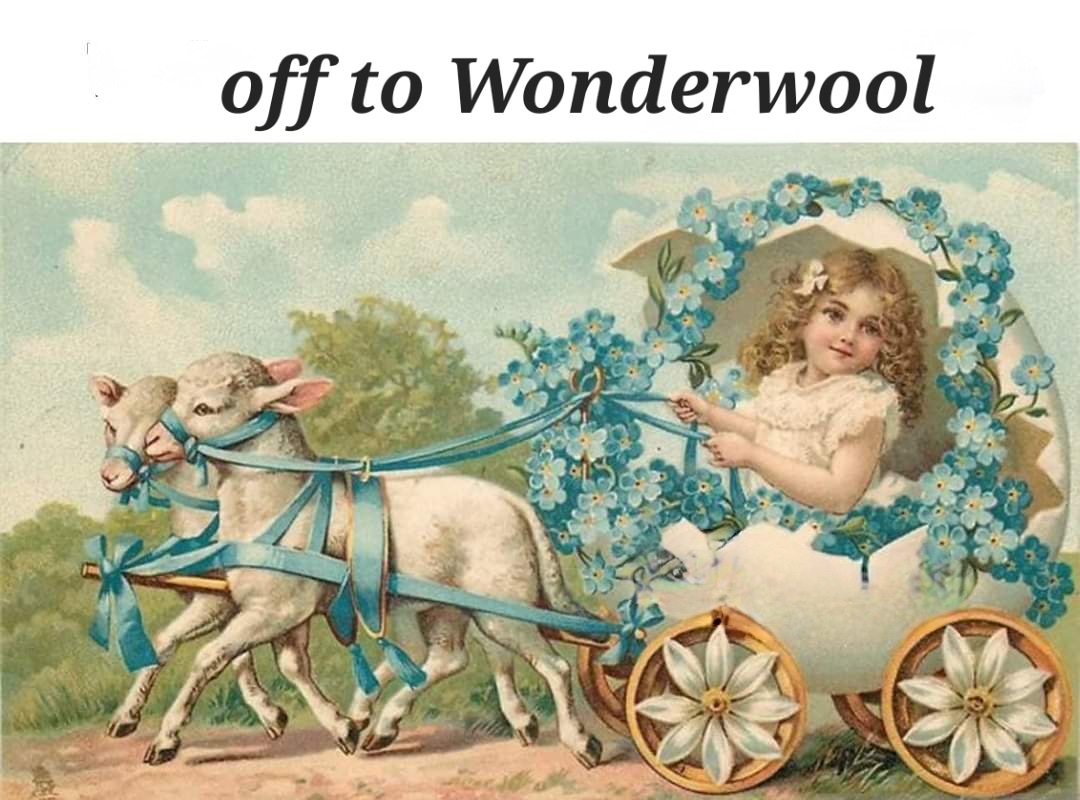 That's us all packed and ready to hit the road to wonderwool this weekend. Come say hi if you're visiting the event! 
#wonderwool #royalwelshshowground #builthwells #woolfest #farm2yarn #leicesterlongwool #sheeponshow #wool #Britishwool #welshwool #lovewool #yarn #homegrownwool