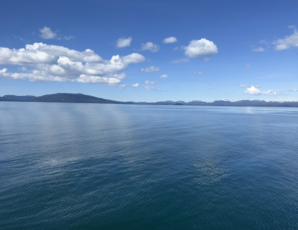 Nadia Shields tweet media