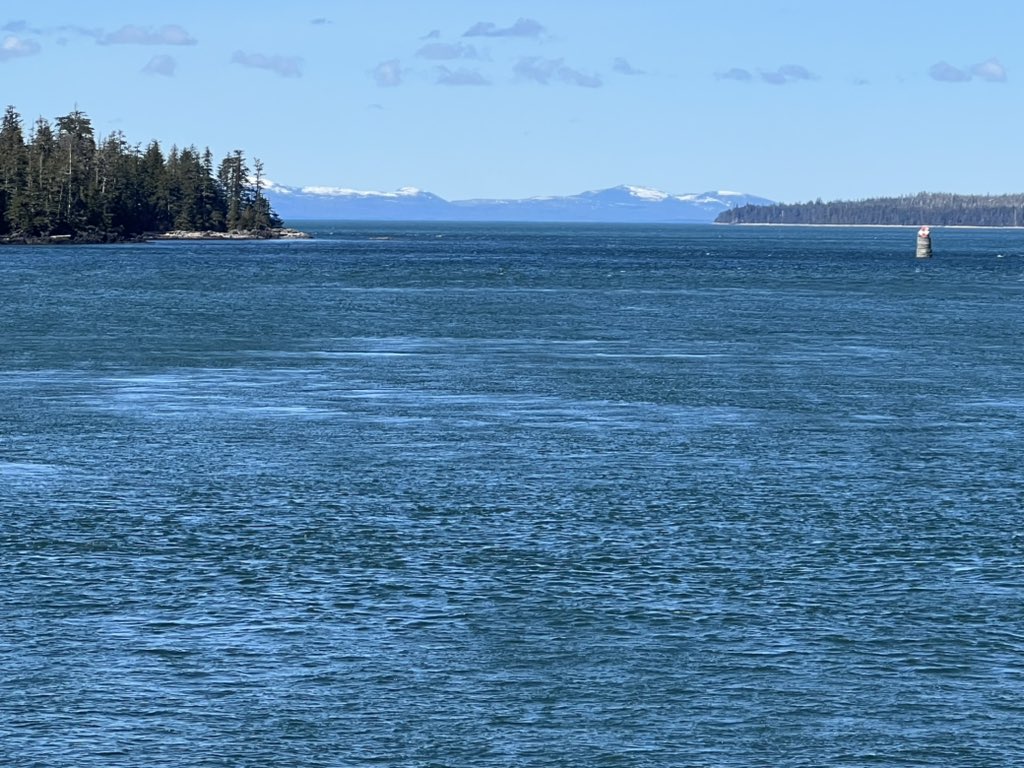 Nadia Shields tweet media