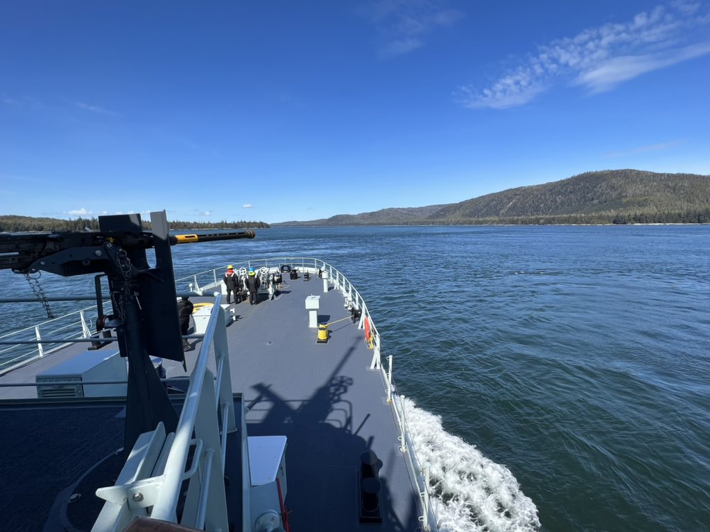 Nadia Shields tweet media