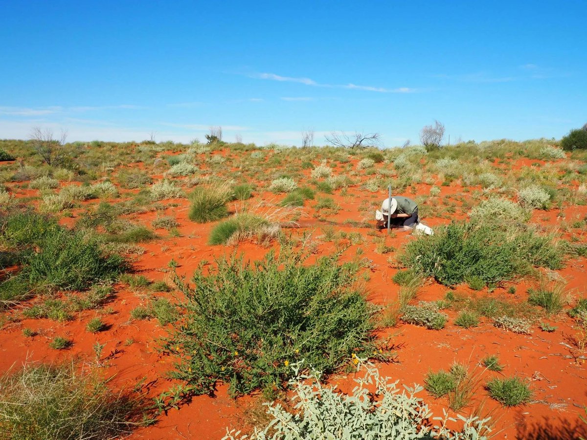 Kate Cranney (@kateccranney) on Twitter photo This week I spoke to <a href="/BushHeritageAus/">Bush Heritage</a>'s Seeding the Future interns about engaging #ScienceCommunication. 🦀📢
I was BHA's first intern many moons ago, and am thrilled it's become an even more sophisticated #mentoring program, funded by @VFFFoundation.
➡️ bushheritage.org.au/who-we-are/peo… This week I spoke to <a href="/BushHeritageAus/">Bush Heritage</a>'s Seeding the Future interns about engaging #ScienceCommunication. 🦀📢
I was BHA's first intern many moons ago, and am thrilled it's become an even more sophisticated #mentoring program, funded by @VFFFoundation.
➡️ bushheritage.org.au/who-we-are/peo…