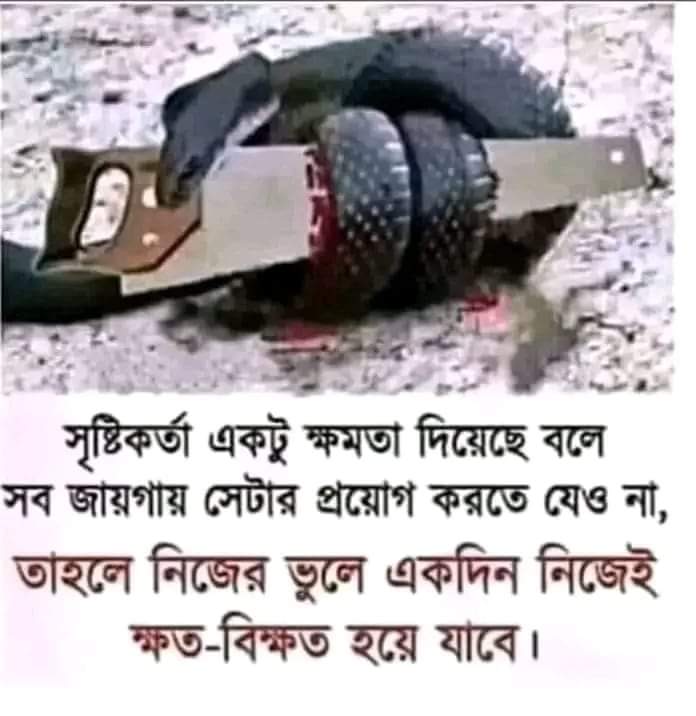 SK NICE (@sknice1234) on Twitter photo 