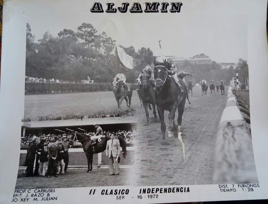 HORSERACING1002's tweet photo. ALJAMIN 🇺🇸1970
(DELTA JUDGE  - SUCHA SNOB BY DEDICATE)
#Aljamin https://t.co/WRbPbHMkNI