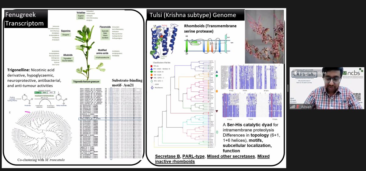 NCBS_Bangalore's tweet photo. Last afternoon the #CAPStalks showcased several #algorithms to assign #function & other features to #proteins-#transcriptomes-#genomes.
Next week the talk covers protein dynamics, assays & #virtual_screening stories.
Join us on 27th Apr at 3 pm! https://t.co/YAroCsuVzi