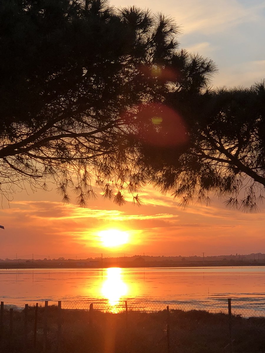Le soleil se couche sur l’#etangdethau à #marseillan #marseillanplage #Herault #Occitanie #languedocroussillon #france #southoffrance #lagunedethau #sealife #sealovers #MagnifiqueFrance #thau #photography #sunset #Mediterranean