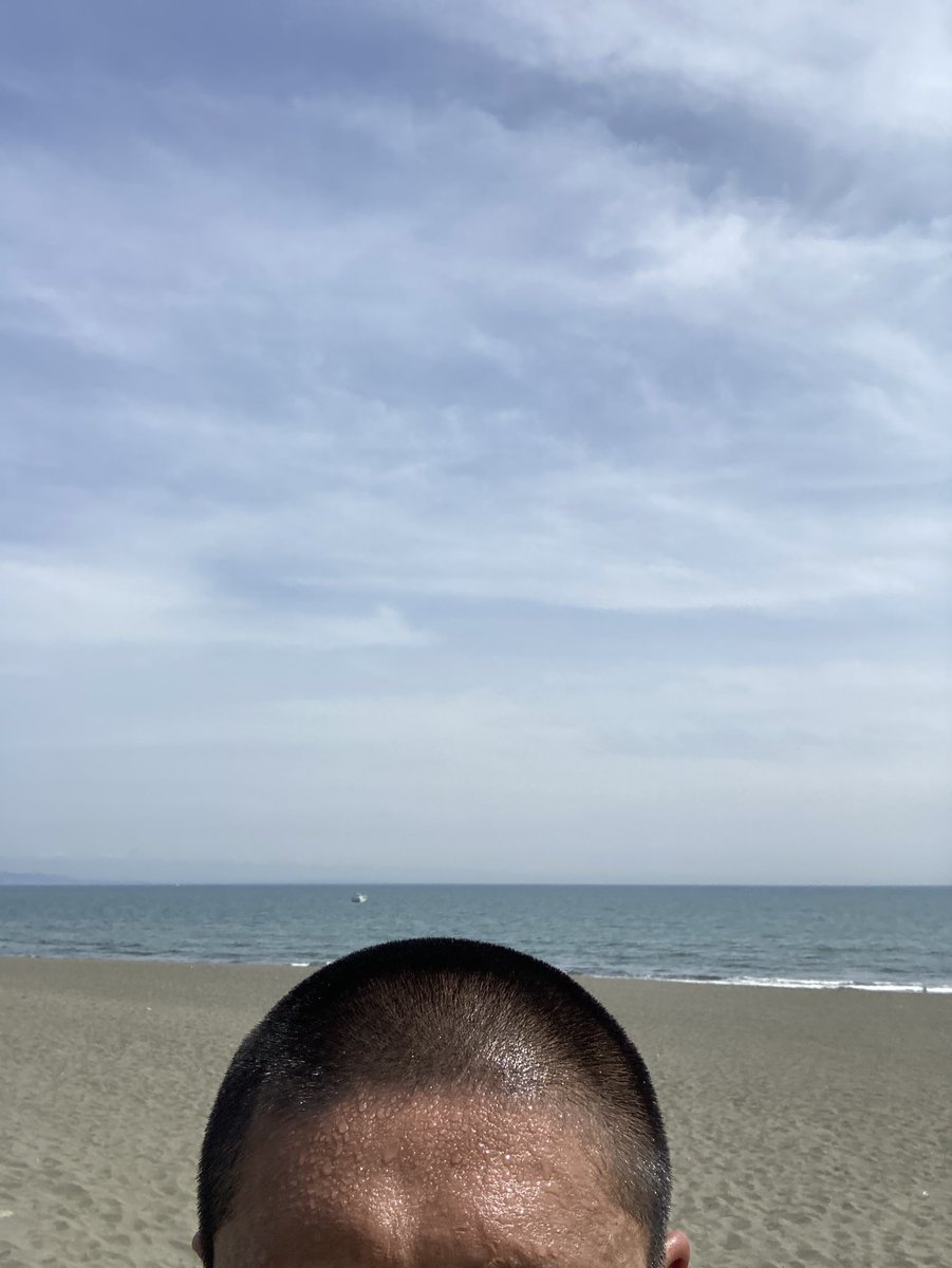 坪井慶介 tweet media