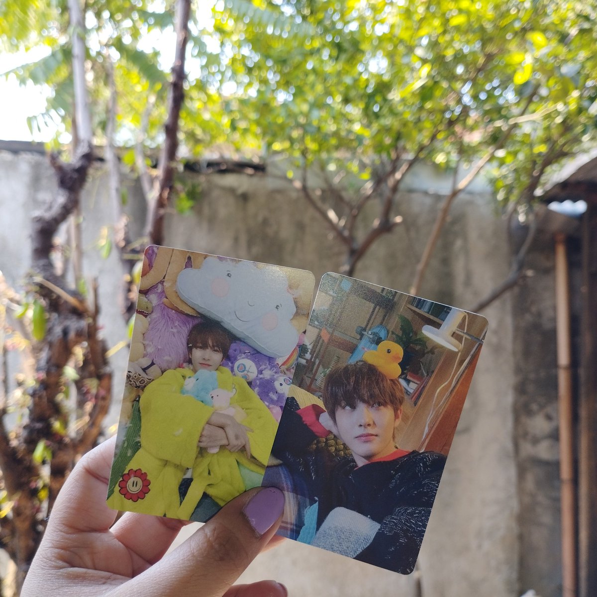 peachjy's tweet photo. and unofficial photocards!! 

will announce here kung saan niyo ako makikita hihi 😉💗 https://t.co/ed4lQ7NFJW