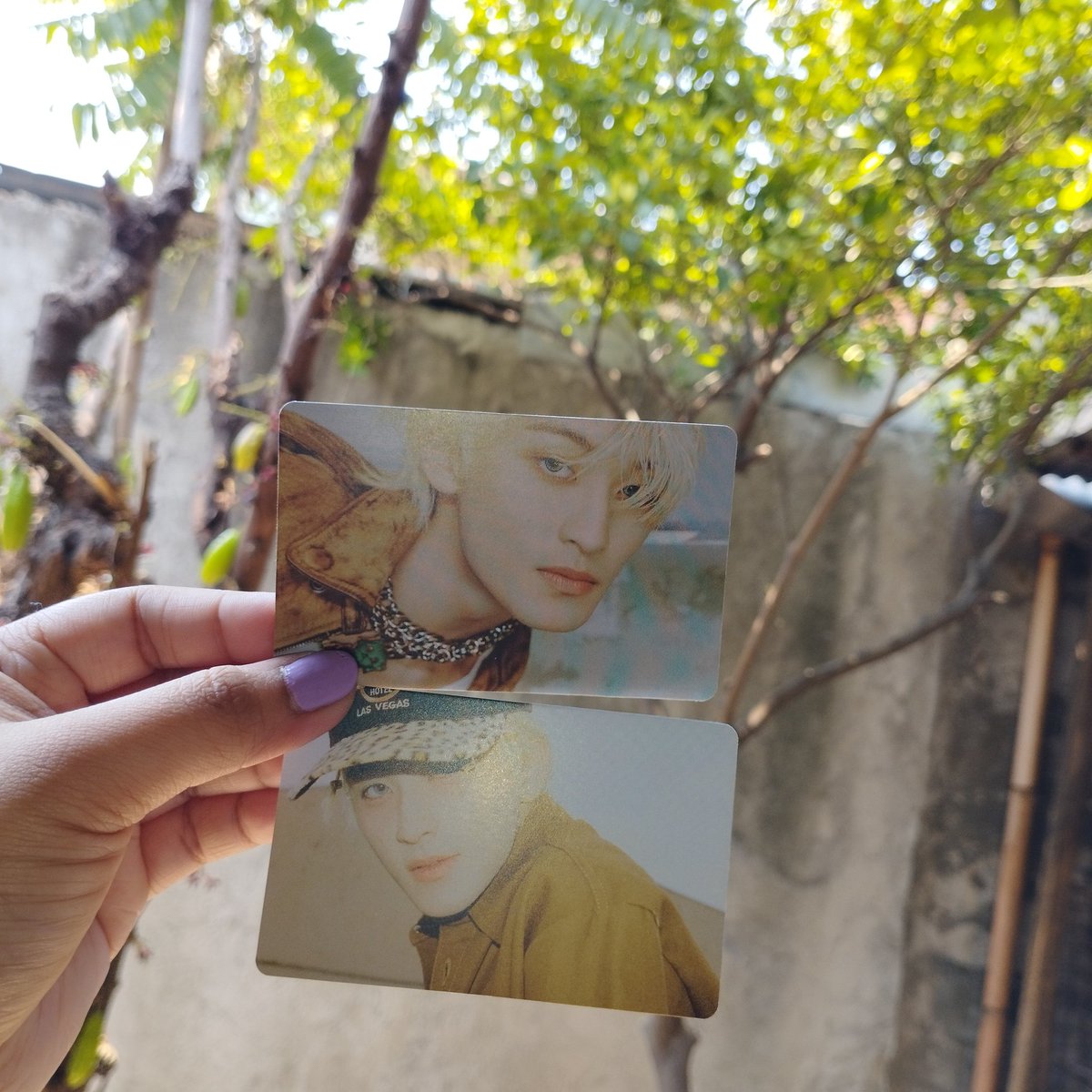 peachjy's tweet photo. and unofficial photocards!! 

will announce here kung saan niyo ako makikita hihi 😉💗 https://t.co/ed4lQ7NFJW