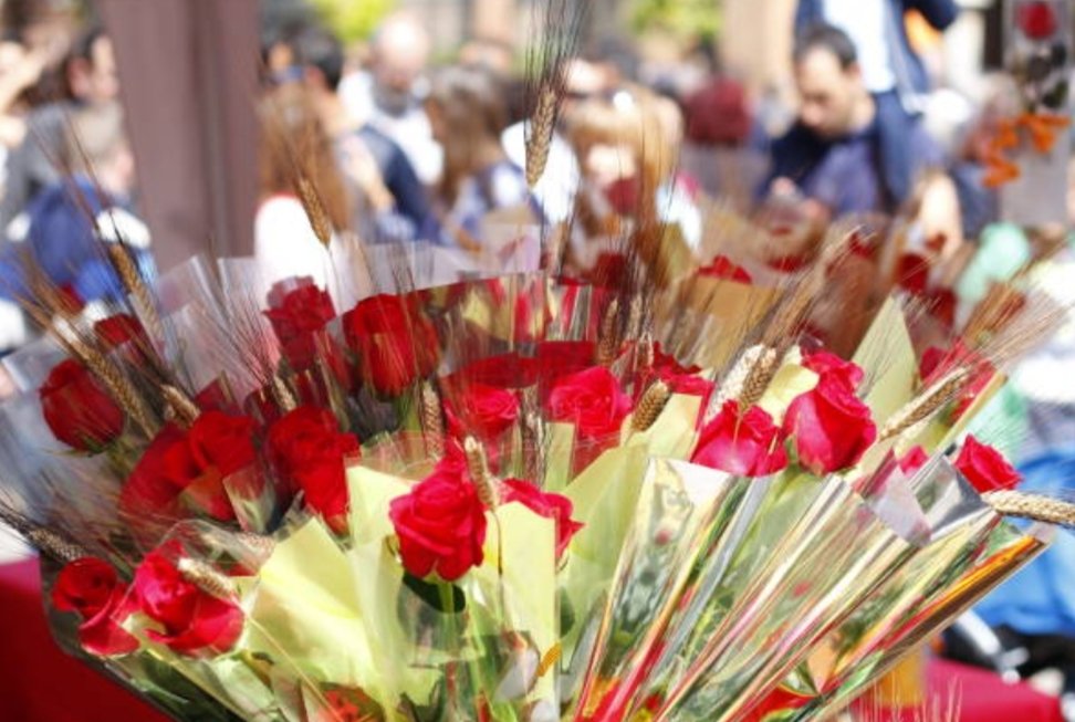 diverscoop's tweet photo. Aquest diumenge compreu als nostres quioscos la vostra rosa solidària de Diverscoop, també estarem en una parada als Jardins de Salvador Espriu.

Us esperem!🌹📙

#kioscosbcn #diverscoop #integració #turismebcn #cultura #diversitat
#barcelona #SantJordi2023 https://t.co/oQAVdhRd7n