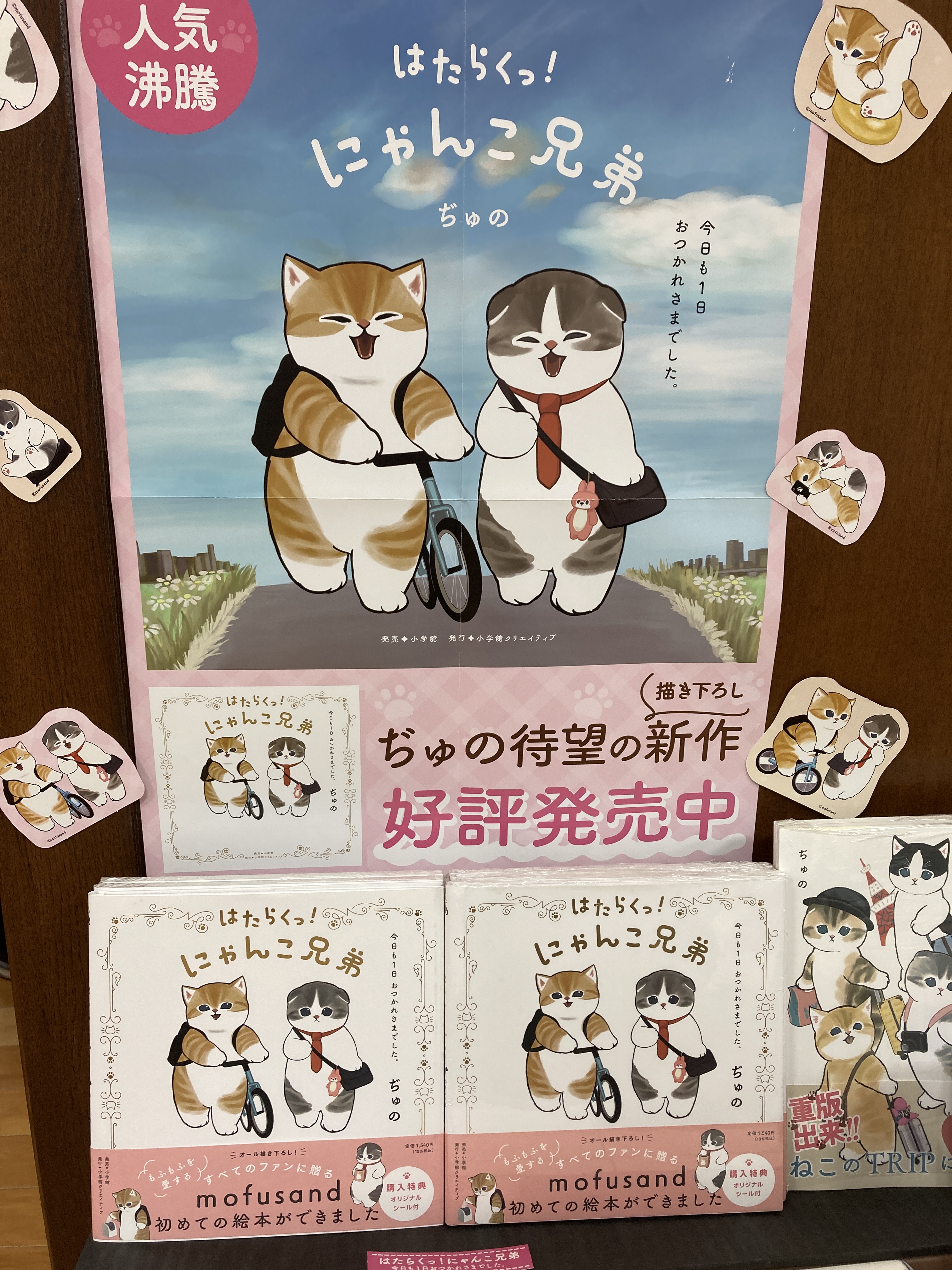 にゃんにゃんにゃんこ ファンクラブ　本　他 Amazon.co.jp: にゃんにゃんにゃんこ・ファンクラブ (ロマン
