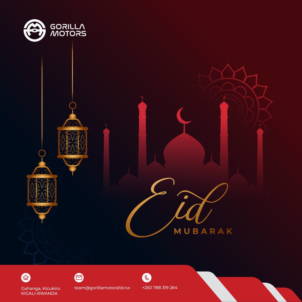 GORILLA MOTORS Ltd tweet media