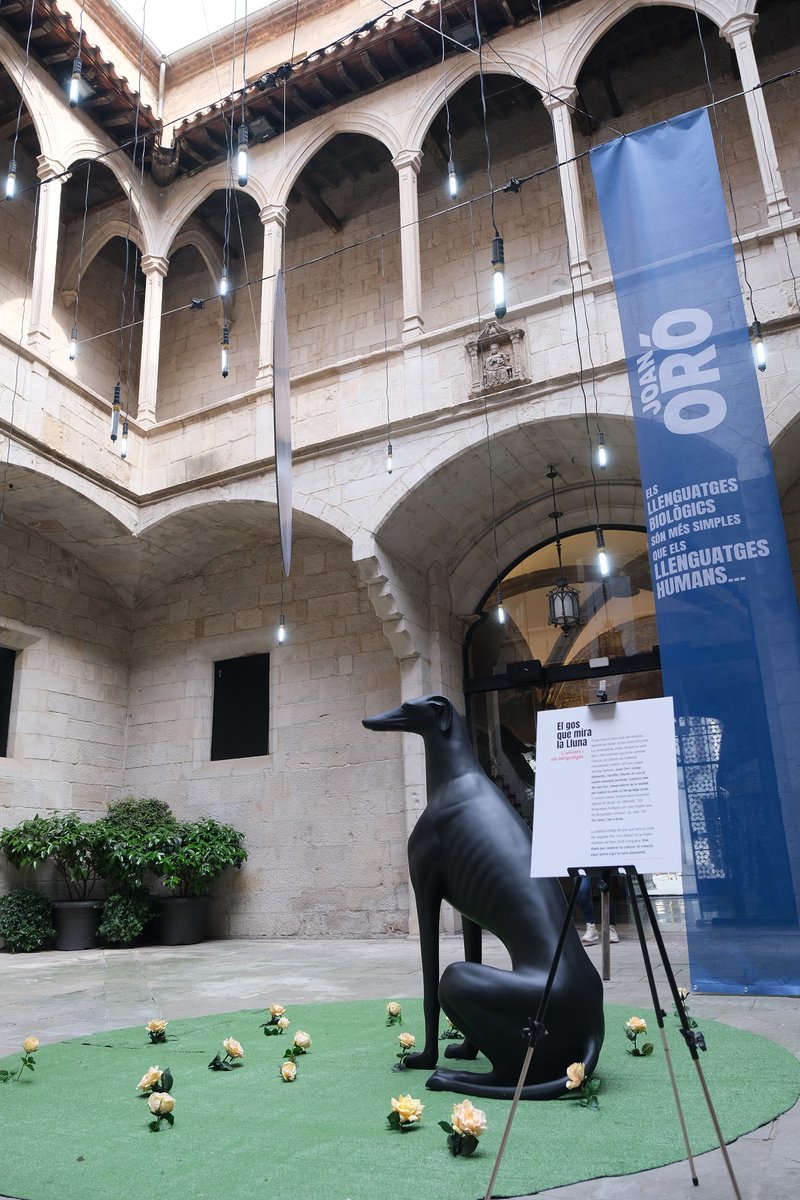 L’IEI proposa un Sant Jordi de ciència i art amb el muntatge ‘El gos que mira la Lluna’ tot homenatjant Joan Oró i Josep Vallverdú
#ieilleida #SantJordi23