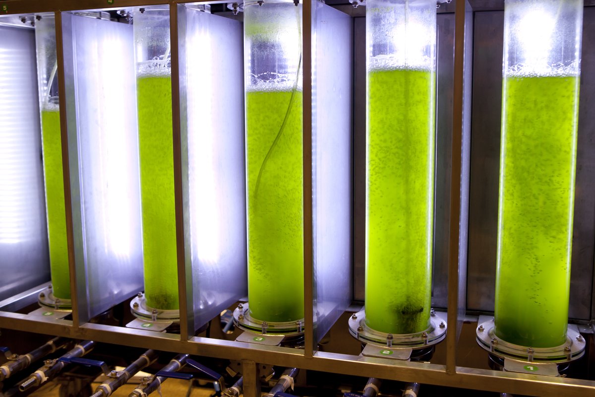 🚨 Biomanufacturing funding opportunity🚨 

UK-based organisations can apply for a share of £12M for collaborative research &amp; development on sustainable bio-based materials and manufacturing.

Apply by 3 May

 orlo.uk/OuCgR
<a href="/innovateuk/">Innovate UK</a> <a href="/EPSRC/">Engineering and Physical Sciences Research Council</a>