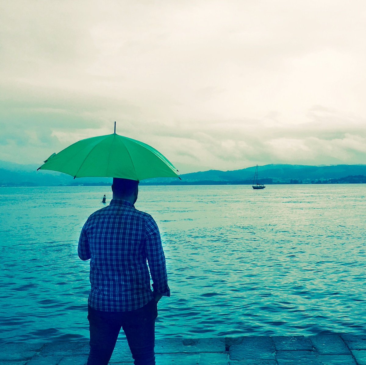 ø — Ocellum❞ tweet media