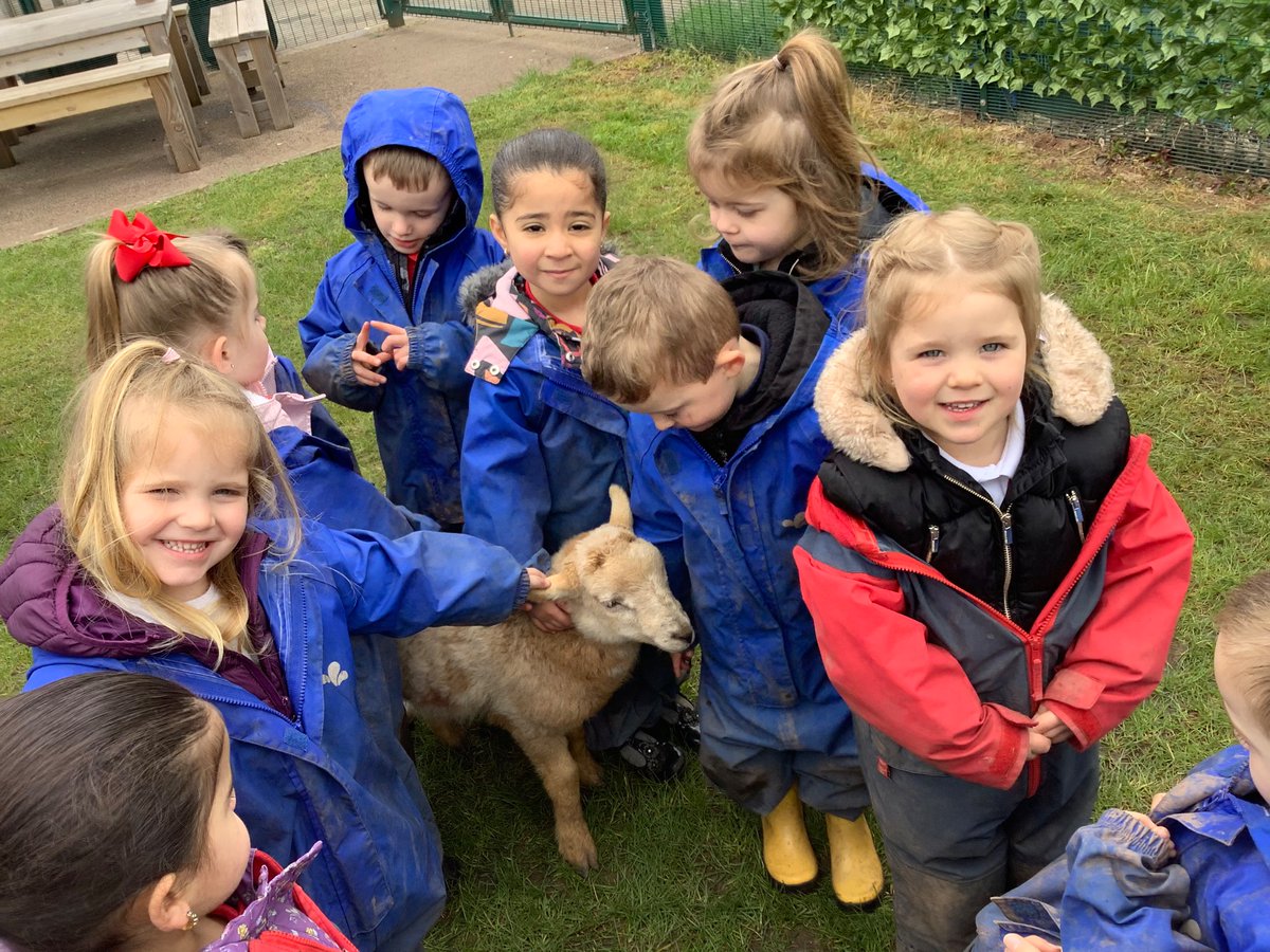 LittleAcornsMB1's tweet photo. E… Had a little lamb, who she brought to Nursery one day… 🐑 @MillbrookP @MBHeadteacher https://t.co/bsjusaGUvh