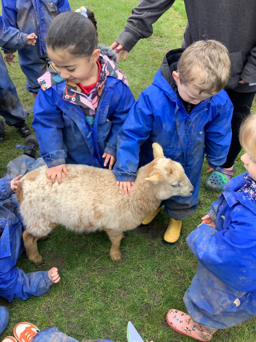 LittleAcornsMB1's tweet photo. E… Had a little lamb, who she brought to Nursery one day… 🐑 @MillbrookP @MBHeadteacher https://t.co/bsjusaGUvh