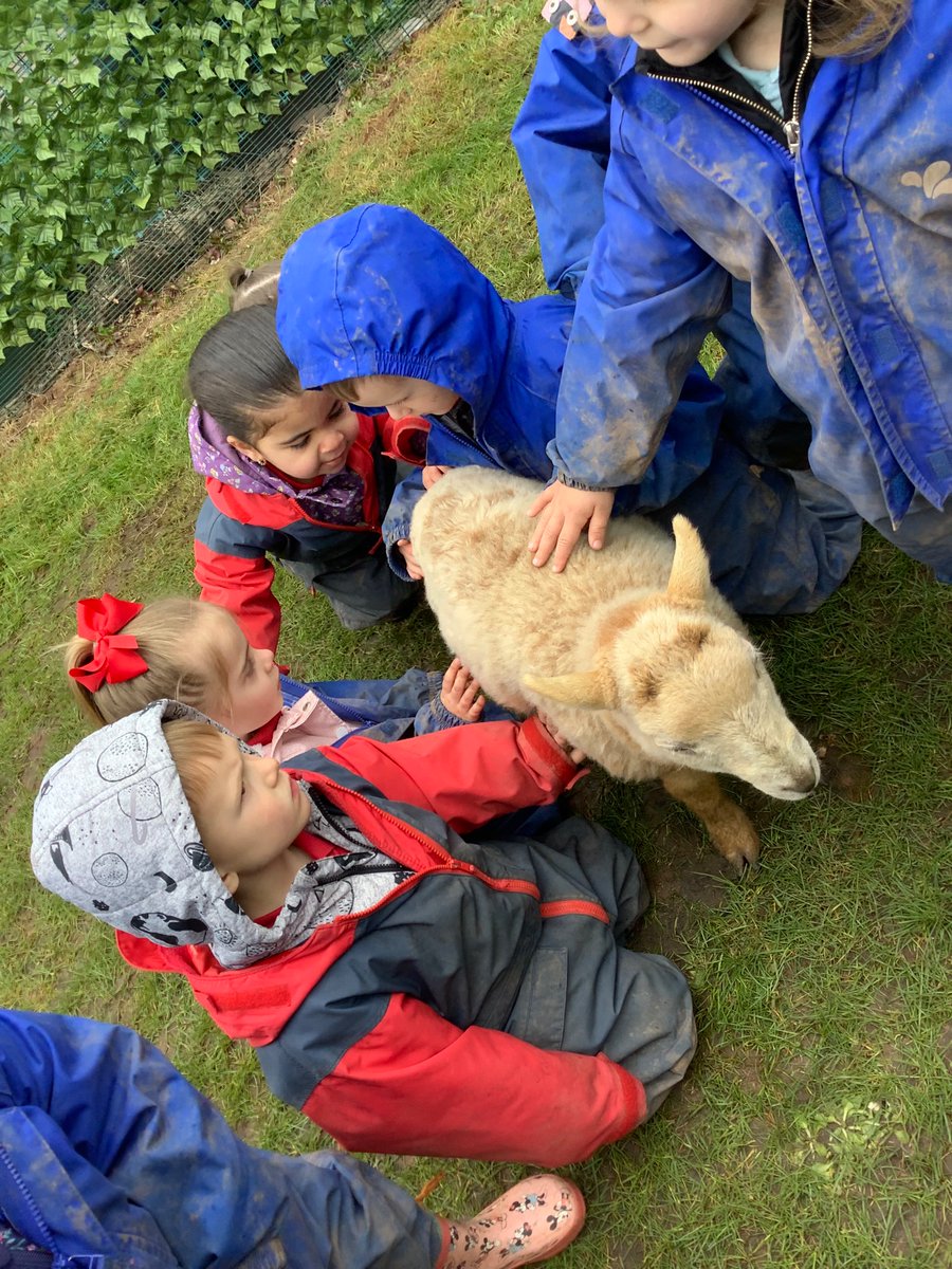 E… Had a little lamb, who she brought to Nursery one day… 🐑 <a href="/MillbrookP/">Millbrook Primary</a> @MBHeadteacher