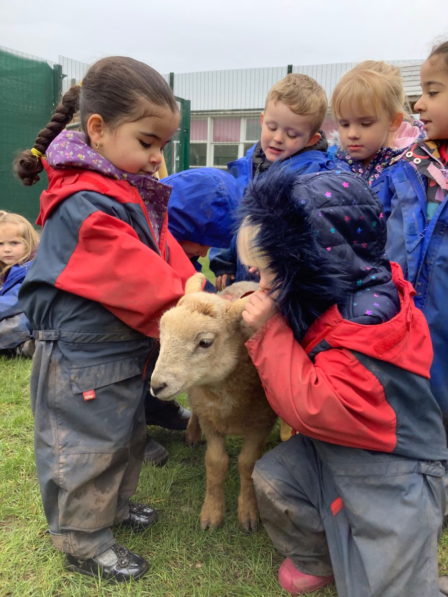 LittleAcornsMB1's tweet photo. E… Had a little lamb, who she brought to Nursery one day… 🐑 @MillbrookP @MBHeadteacher https://t.co/8z0DovFNA2