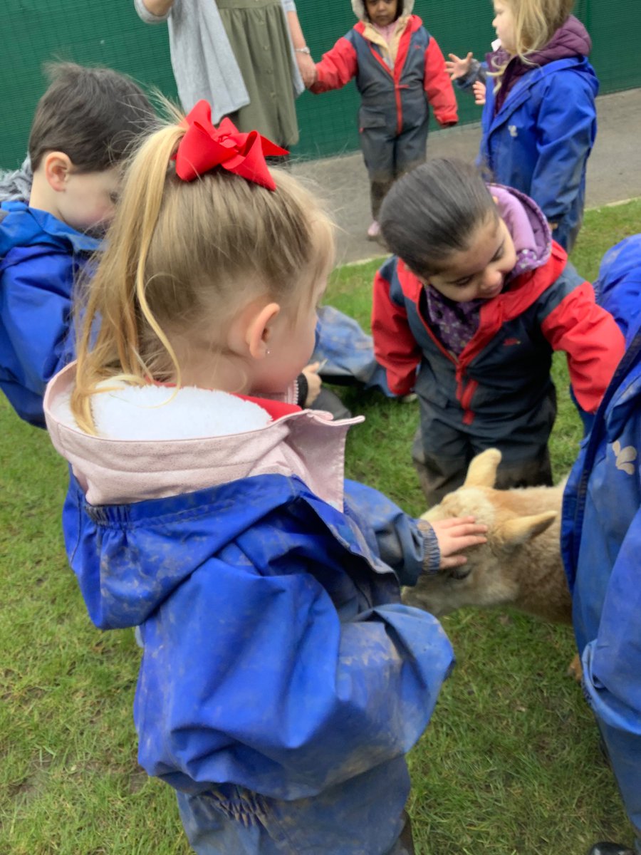 E… Had a little lamb, who she brought to Nursery one day… 🐑 <a href="/MillbrookP/">Millbrook Primary</a> @MBHeadteacher