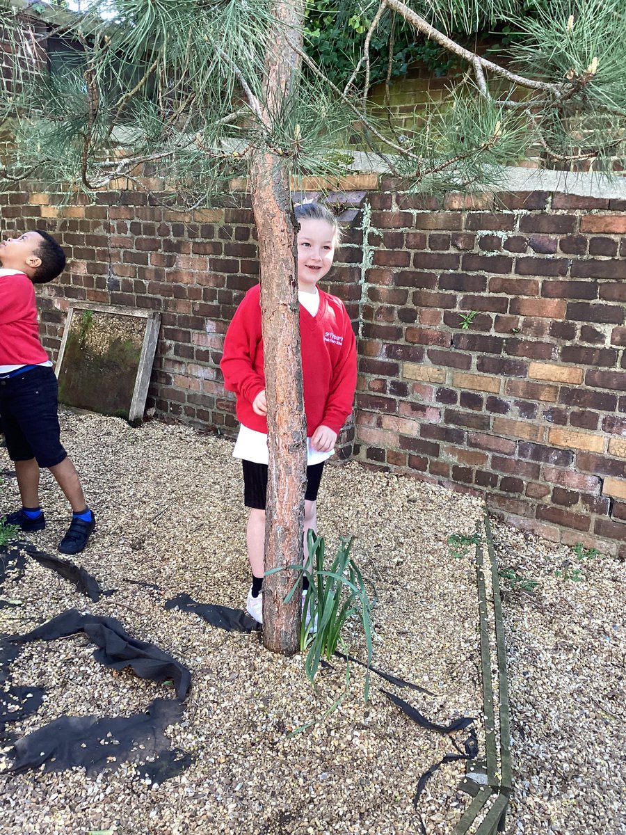 Year 1 St Finbar's tweet media