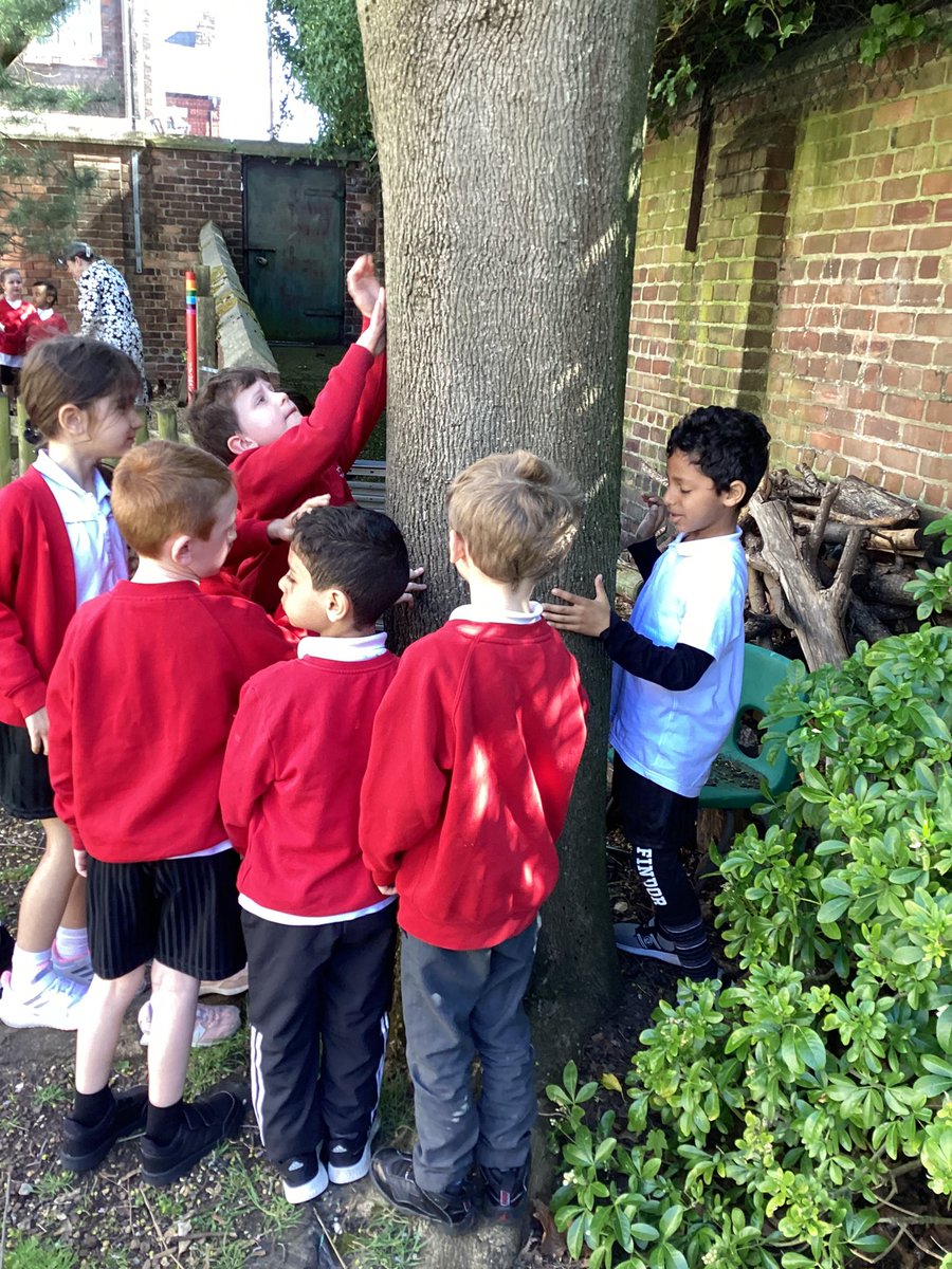 Year 1 St Finbar's tweet media