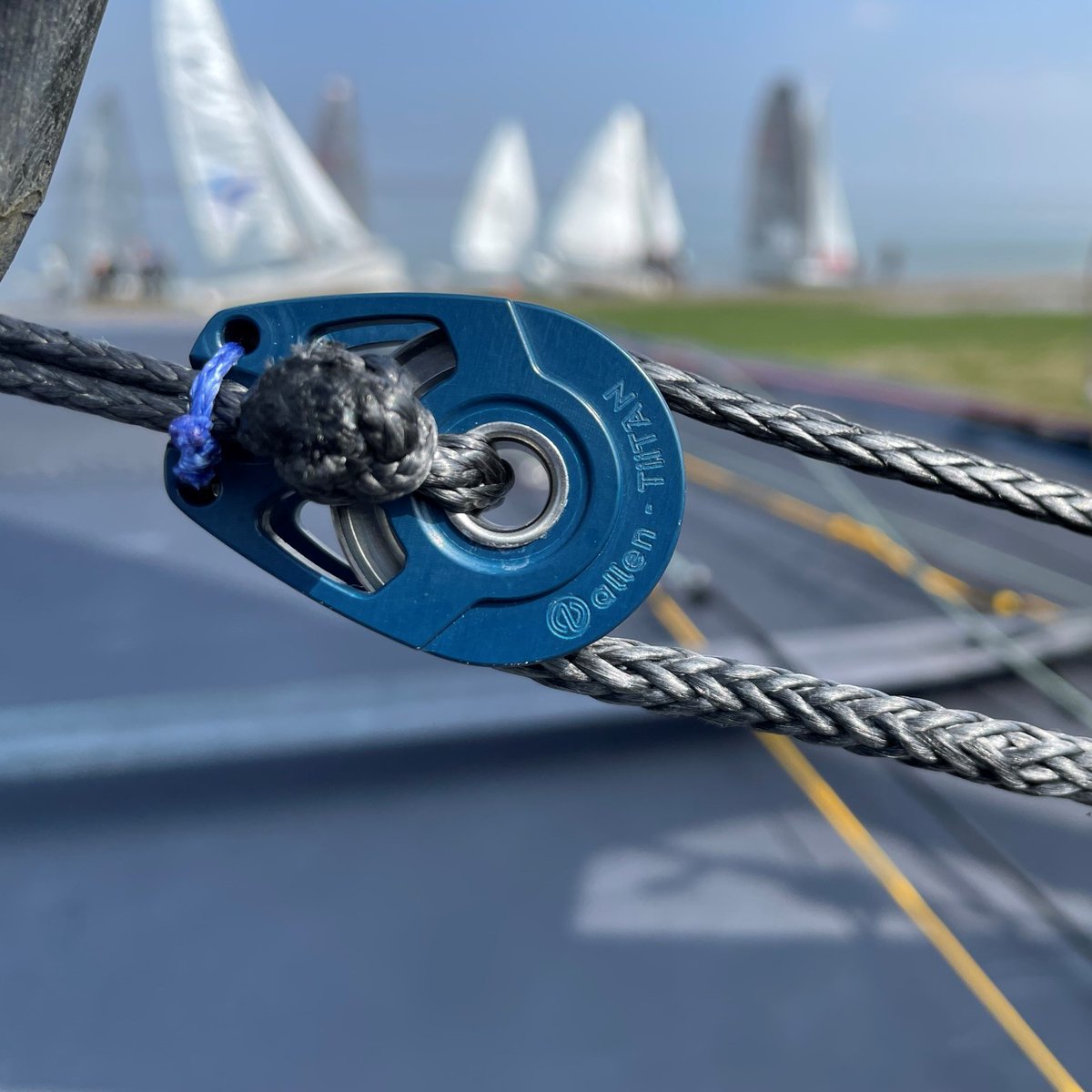 Allen Sailing tweet media