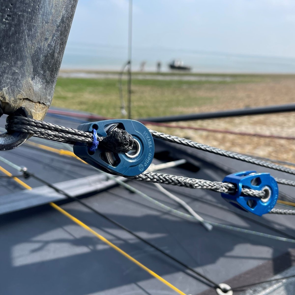 Allen Sailing tweet media