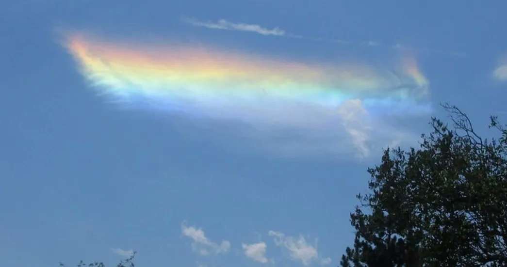 astraldesignltd's tweet photo. #firerainbow or #circumhorizontal arc a #naturallight #phenomena caused when the sun passes through ice crystals #lightart #inspiration #nature #atmosphere not a #rainbow 

https://t.co/J5MJ9BY84o https://t.co/GzCnWm2Cxc