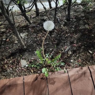 expensivecorn's tweet image. #NewProfilePic

i love you angel i hope you’re at peace rn🤍

#moon #MOONBIN