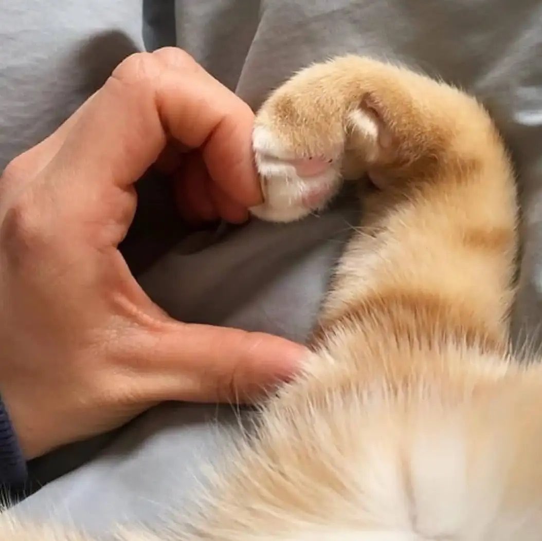 Prices down only 10% and twitter timeline turned super toxic already. It’s literally just full of unnecessary hate and even people virtue signalling.

I’m out of here, booked a staycation for the weekend 🫡

There is no need to be this upset ✌🏻