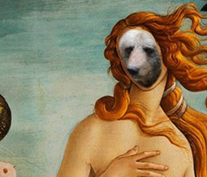 Nclosing123's tweet image. Open to magic

(Anche gli orsi fanno parte del ns patrimonio)☺️

#Mj5