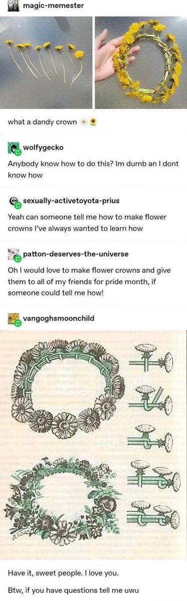 WholesomeMemes (@wholesomememe) on Twitter photo 