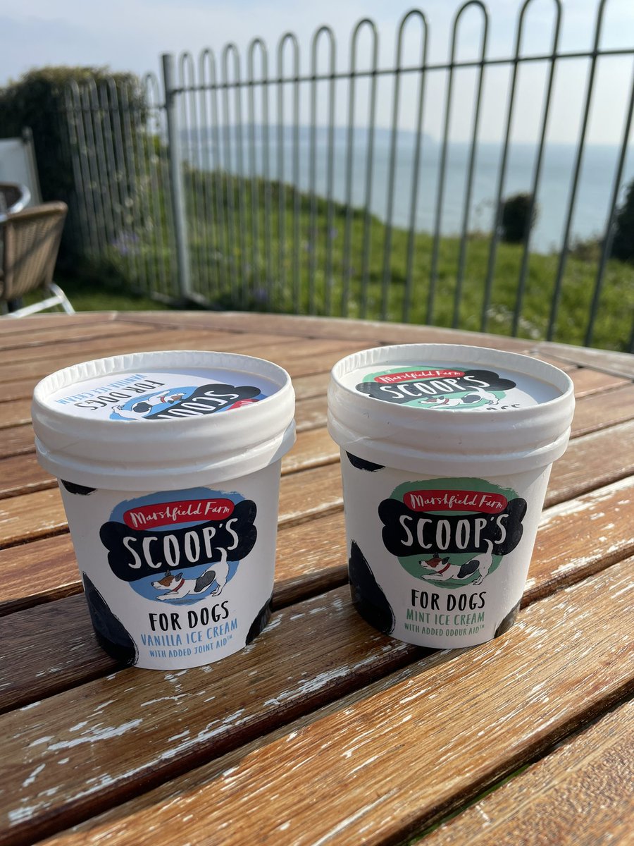 For all our doggy customers who like to have the freshest breath…we are pleased to now be able to offer Scoops in Mint flavour. YUM!
If they’re not ice cream lovers then we also have doggy biscuits too!
#blueberryscafe #iow #cafe #dogfriendly #dog #friday #dogicecream