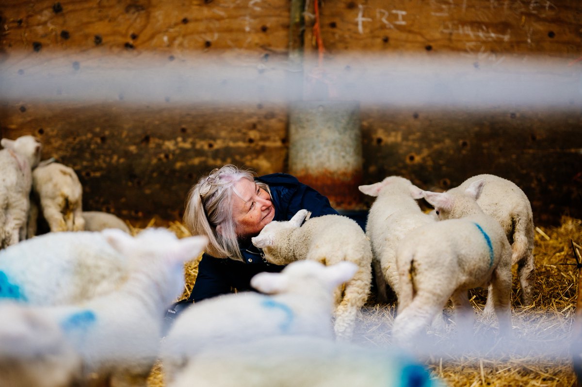 Croftfoot's tweet photo. Just a couple of space left on this years farm photography tours!
We give you unique access to photography subjects normally out of reach here on our farm in cumbria. #herdwicks, tractors, lambs... 
more details or to book....
https://t.co/LQTewzFMzt https://t.co/j8qs1D12i1