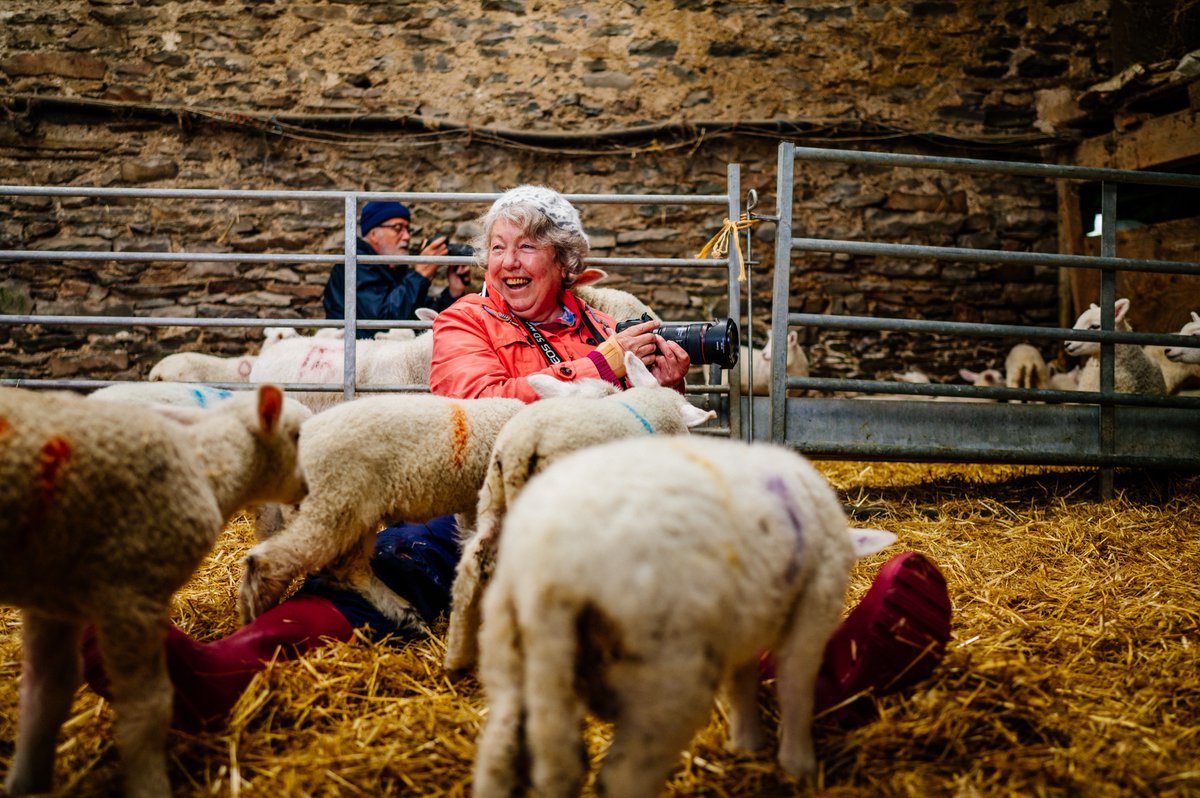 Croftfoot's tweet photo. Just a couple of space left on this years farm photography tours!
We give you unique access to photography subjects normally out of reach here on our farm in cumbria. #herdwicks, tractors, lambs... 
more details or to book....
https://t.co/LQTewzFMzt https://t.co/j8qs1D12i1