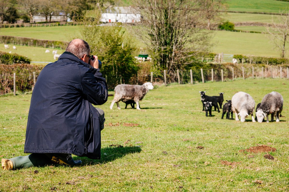Croftfoot's tweet photo. Just a couple of space left on this years farm photography tours!
We give you unique access to photography subjects normally out of reach here on our farm in cumbria. #herdwicks, tractors, lambs... 
more details or to book....
https://t.co/LQTewzFMzt https://t.co/j8qs1D12i1