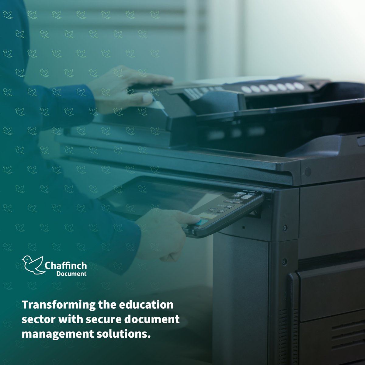 chaffinchdoc's tweet photo. ✅  Secure shredding services.​

✅ Save space with off-site document storage.​

✅ Save on admin costs with bulk scanning solutions. ​

We’re the partner of choice for education providers: https://t.co/wxymtQgOBw​

#educationsector #edchat #educhat #edtech https://t.co/B0d4V1kJjK