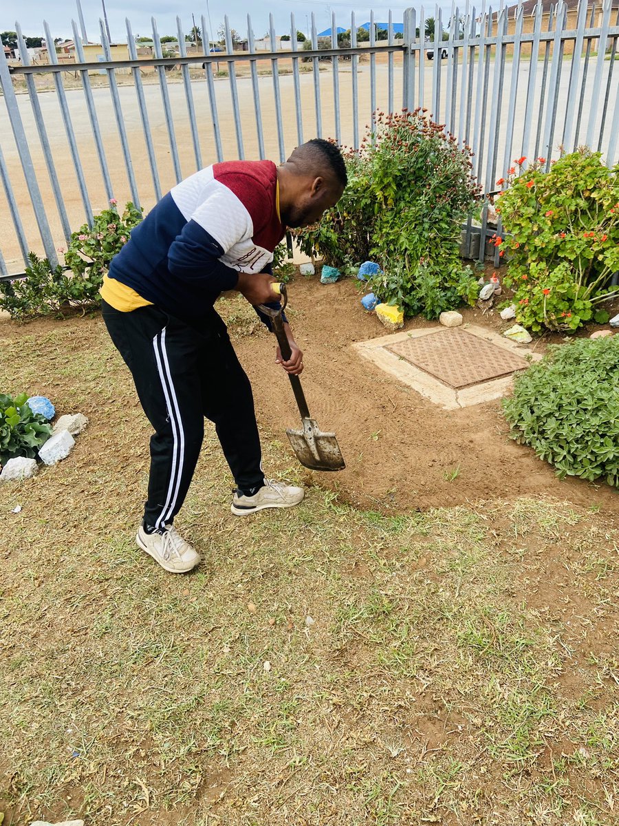 PoppyQueenie's tweet image. From a Jungle to a garden #WestEndLibrary
#getNMBworkingagain