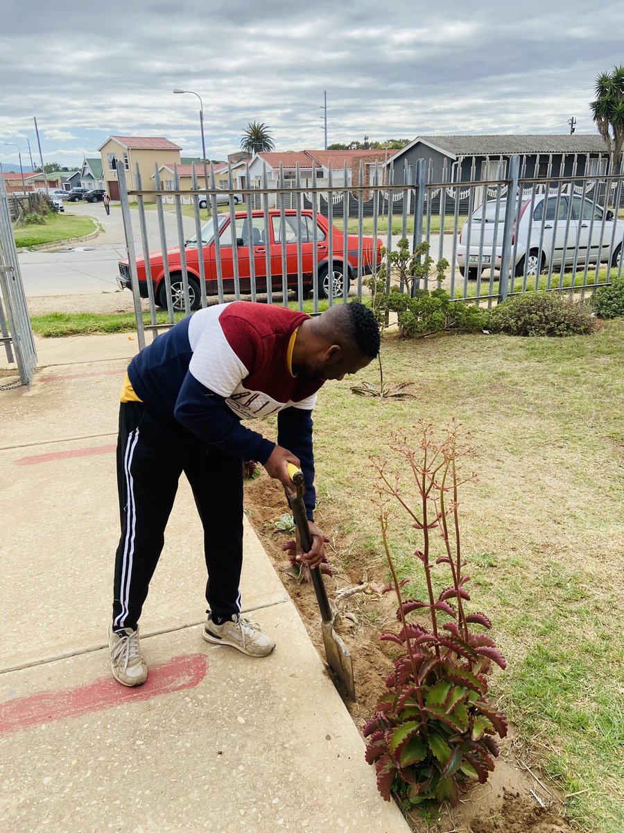 PoppyQueenie's tweet image. From a Jungle to a garden #WestEndLibrary
#getNMBworkingagain