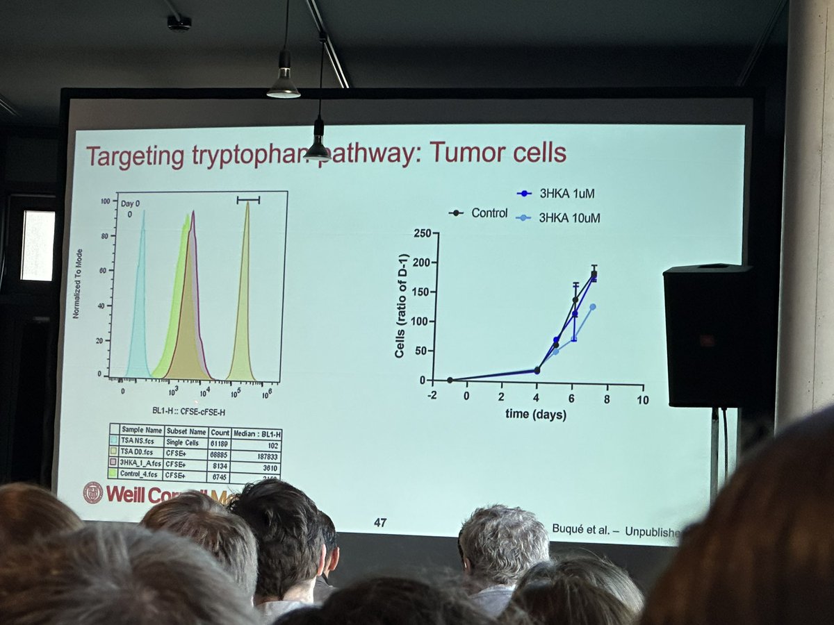 4) Dr @txi_ber #breastcancer expert @WeillCornell GREAT TALK! M/D driven tumors/luminal B breast cancer/ targeting tryptophan pway/works even in RAG mice/found a direct effect on tu cells + effect on immune system #TIMO2023 @sitcancer @BreastAdvocate @BCPPartners